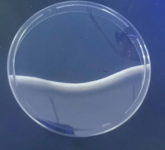 塑膠蓋片劃痕、臟點檢測